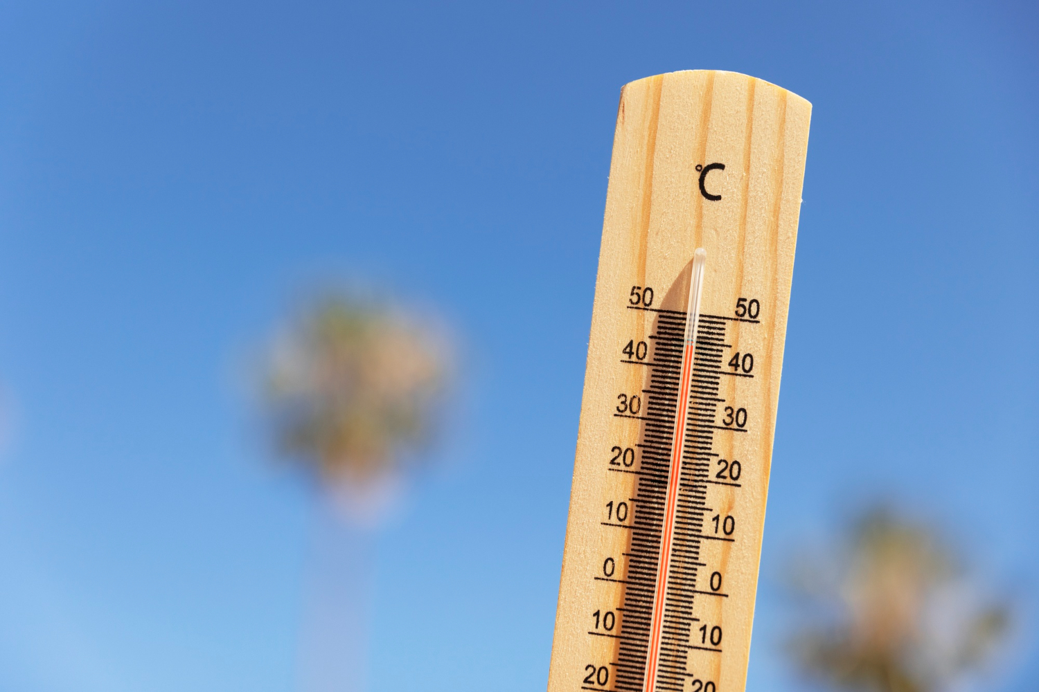 meteo